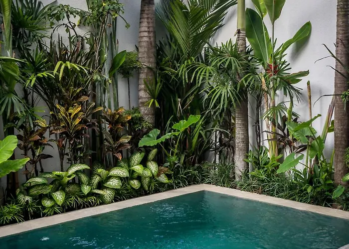 Pereh By Alfred In Bali